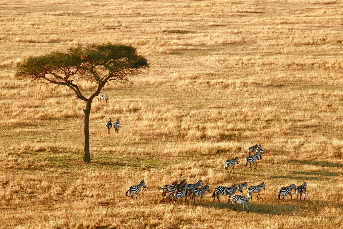 Tanzania landmark